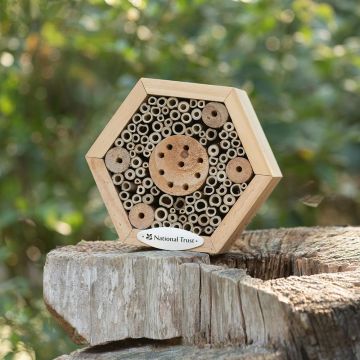 Bug hotel future of home gardens